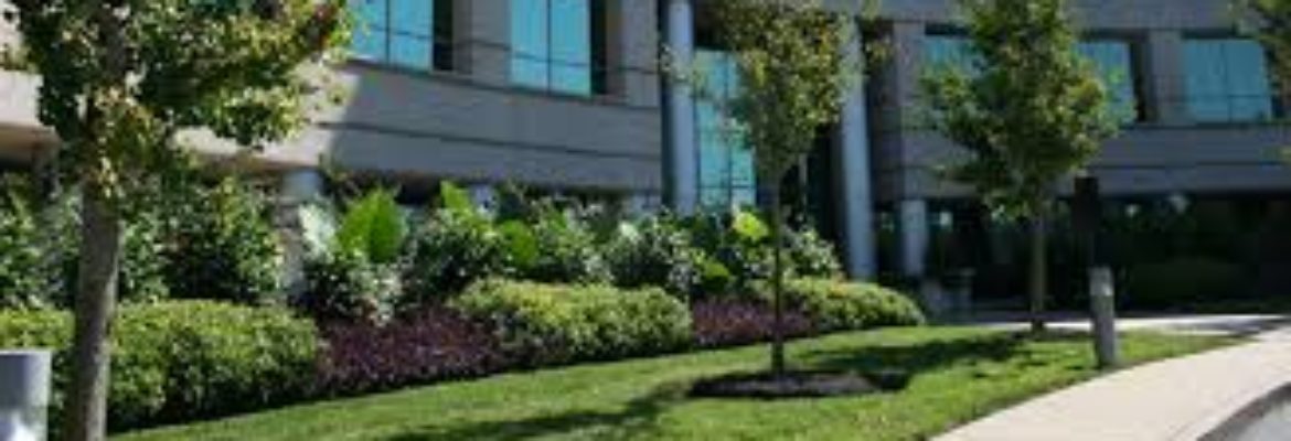 Acer Landscape Services, Inc.
