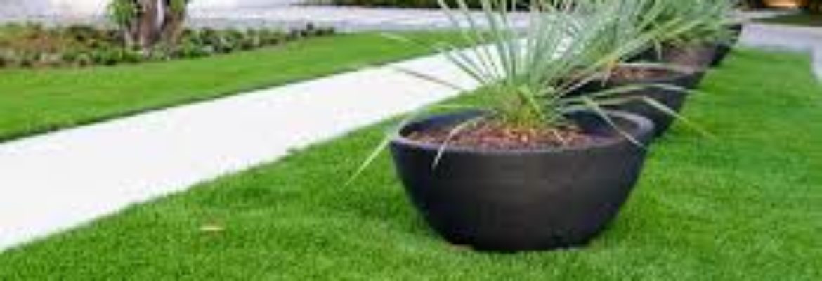 Forever Lawn