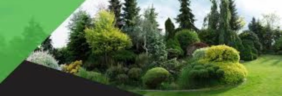 Go Green Lawn Care & Landscaping
