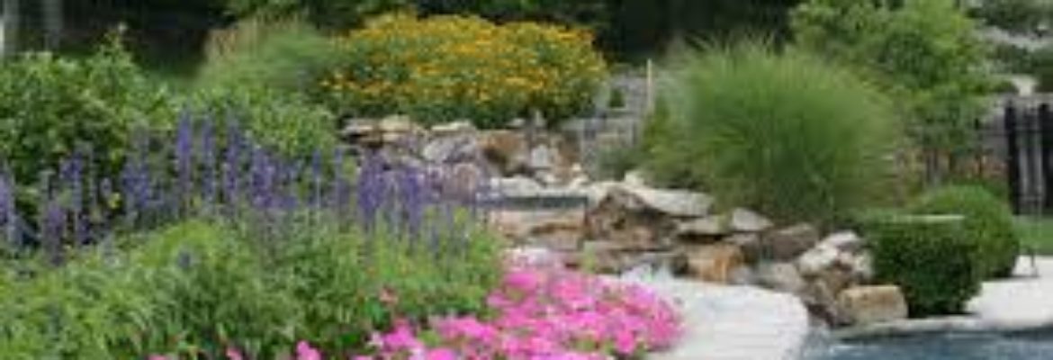 Landscaping By John E. Waller