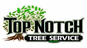 Top notch tree service tucson