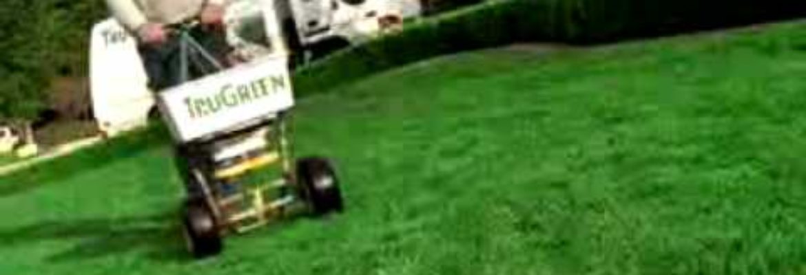 TruGreen Lawn Care