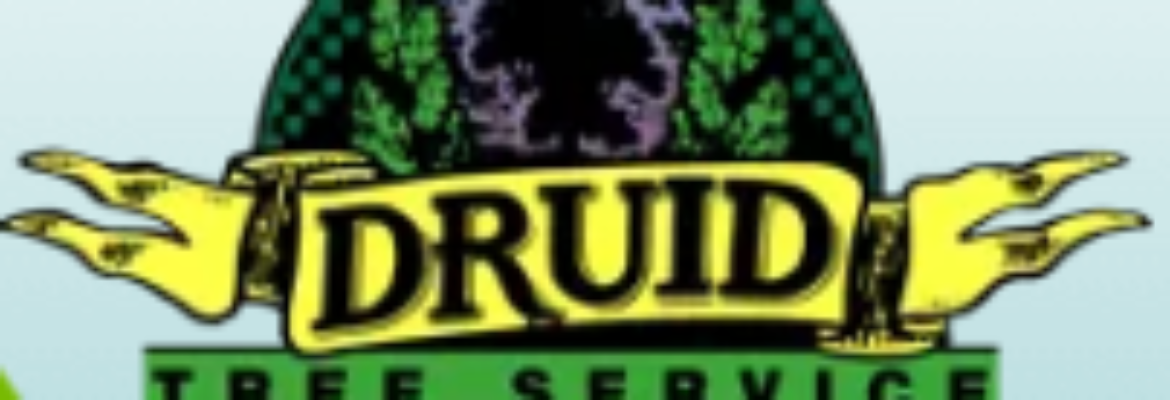 Druid Tree Service