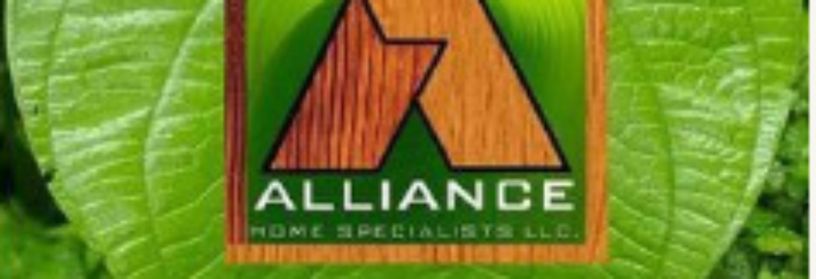 Alliance Roofing & Home Repair