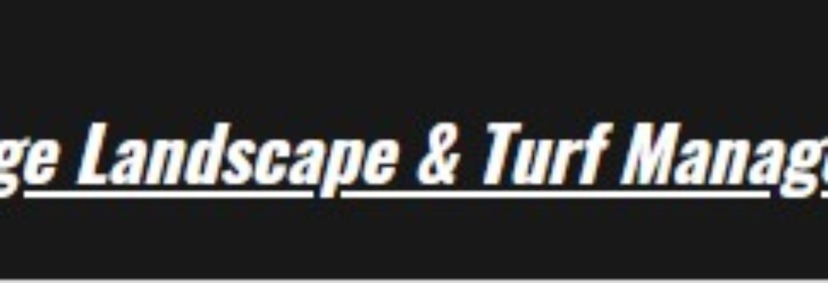 Advantage Landscaping & Lawncare