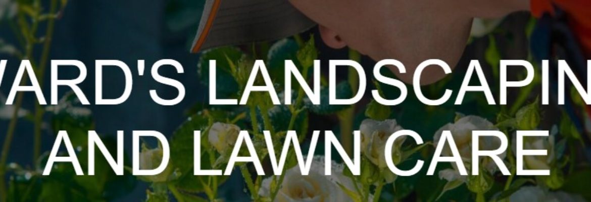 Ward Landscaping & Lawn Care