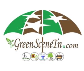 Green Scene Irrigation & Landscaping 