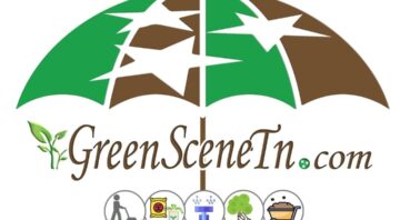 Green Scene Irrigation & Landscaping 