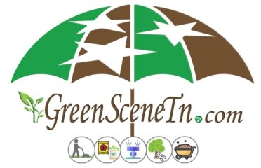 Green Scene Irrigation & Landscaping 